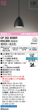 OP252955BR
