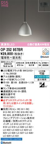 OP252957BR