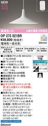 OP273021BR