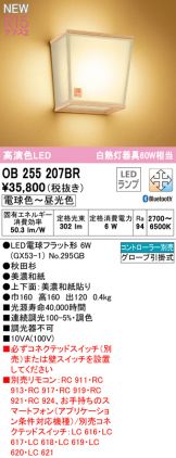 OB255207BR