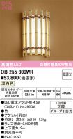 OB255300WR