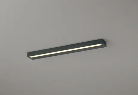 OL291651LR