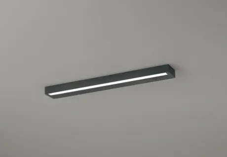 OL291651NR