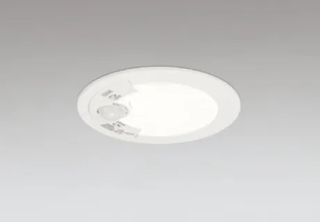 OD361931R