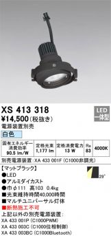 XS413318