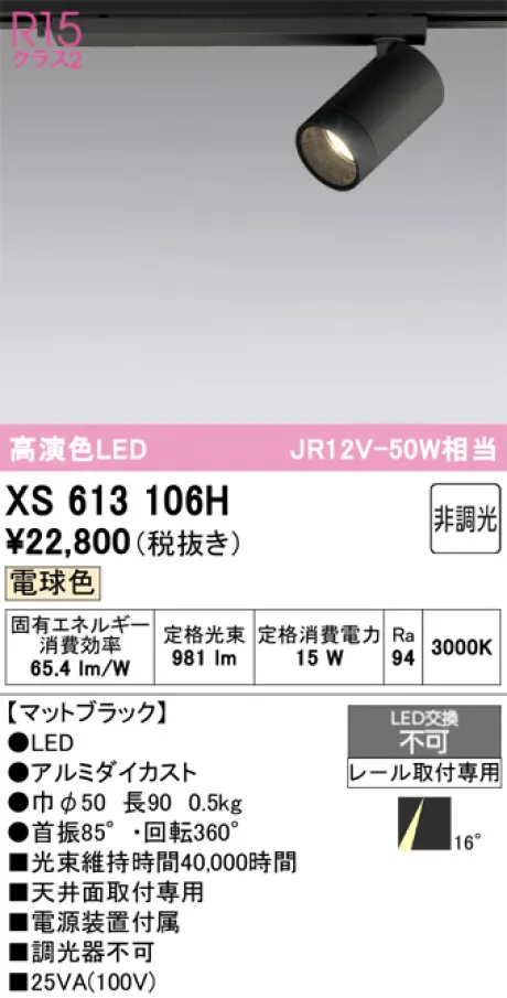 XS613106H
