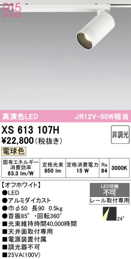 XS613107H