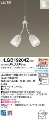 LGB19204Z