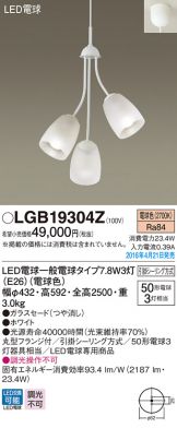 LGB19304Z