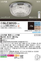 SLC30123