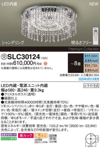 SLC30124
