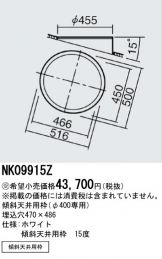 NK09915Z