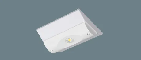 NNLG01515