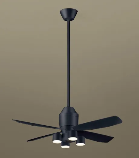 XS74129
