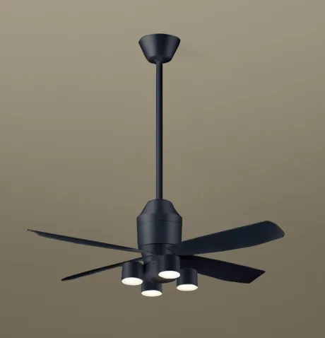 XS74229