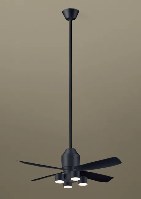 XS74529