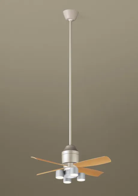 XS77528