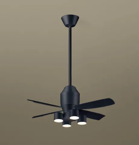 XS79229