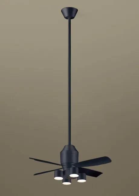 XS79529