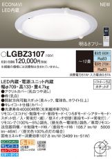 LGBZ3107