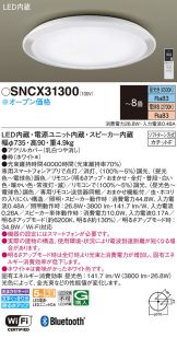 SNCX31300