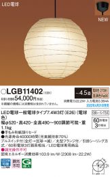 LGB11402