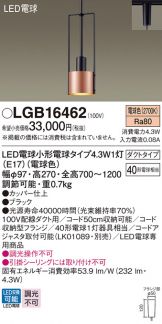 LGB16462