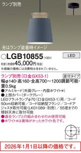LGB10855