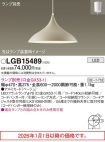 LGB15489