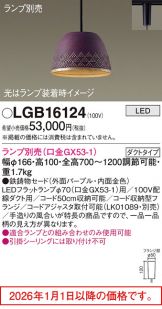 LGB16124