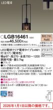LGB16461