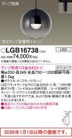 LGB16738