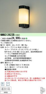 NNNS12623B