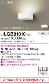 LGB81010