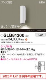 SLB81300