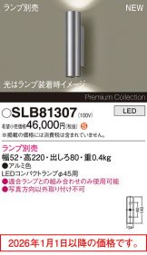 SLB81307