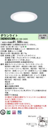 XNDN9950WWLZ9
