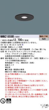 NNN21859B