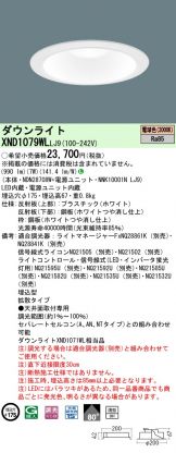 XND1079WLLJ9