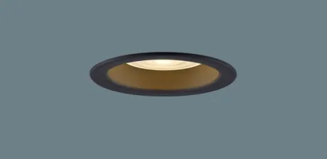 XAD5101LCC1