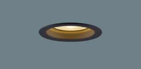XAD5121LCC1