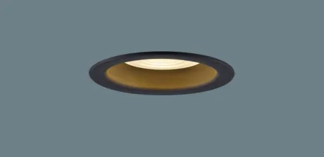 XAD5161LCC1