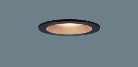 LGD1101LU1