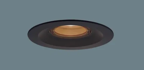 XED1231LCE1