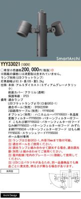 YYY33021