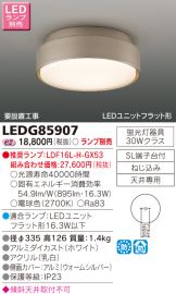 LEDG85907