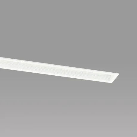 DD-3556-W